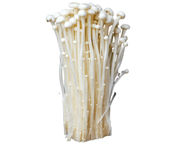 Imported Enoki Mushroom 100gm pkt